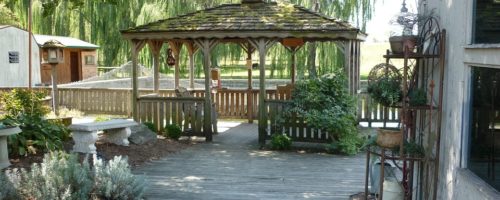 Devis pergola