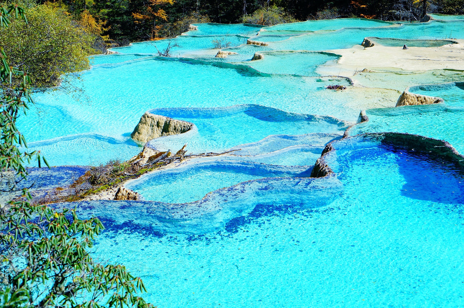 Devis piscine naturelle